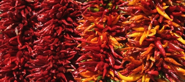 The land of hot chilies.